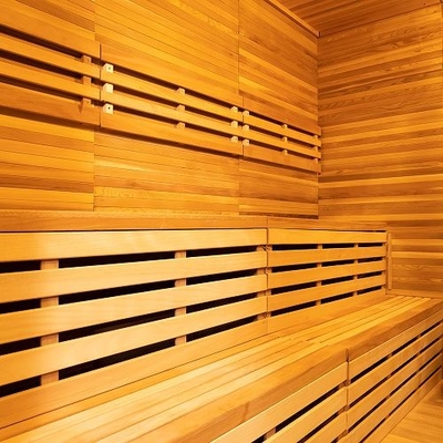 Hemlock Buitendroog Sauna Met Verstelbaar Ventilatiesysteem Bluetooth Muziek Tempered Glass Door