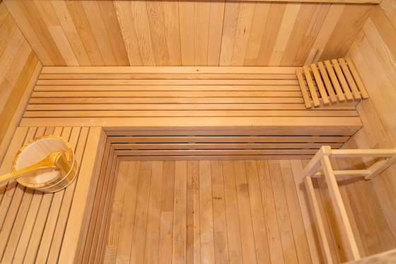 220V Spanning Sauna Stoom Ozon Stoom Sauna Met Ozon Generator Hemlock Red Cedar 0-99 MIN Timer