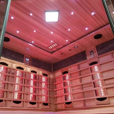 Van de de Stoomsauna van de Smartmakdollekervel Infrarode het Huis Natte Sauna 4 Persoon voor Ontgifting